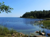 Объявление №41025717: Самый большой участок в садоводстве!