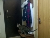 СДАМ КОМНАТУ В СПБ ЗА 8000р. РЯДОМ С ЦЕНТРОМ. - Жилая недвижимость, Аренда комнат Санкт-Петербург